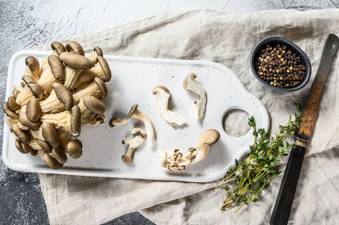 Boost Immunity with Our Mushroom Immune Booster